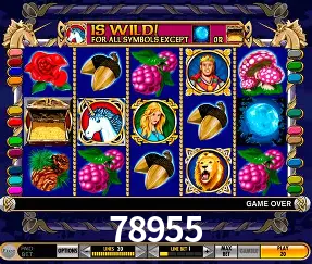 VIP Casino 78955